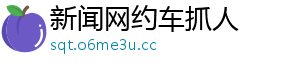 新闻网约车抓人